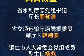 打虎战报！#反腐倡廉 #违法必究 #苗侗普法视频封面