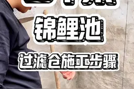 小型锦鲤鱼池过滤仓施工步骤 #锦鲤池过滤 #鱼池过滤设计 #锦鲤池 #鱼池过滤 #锦鲤池视频封面