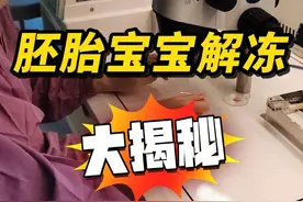 冷冻的胚胎宝宝是怎么复苏的？ #试管移植 #冷冻胚胎 #胚胎移植 #备孕 #抖出健康知识宝藏