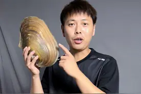 网购3个号称8年的珍珠蚌，能开出多少珍珠？ #珍珠蚌 #珍珠蚌取珍珠 #河蚌 #网购需谨慎 #翻车现场