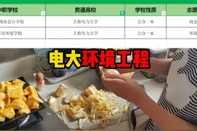中本贯通，上海电力大学环境工程，分配就业，水务所，环卫所 等视频封面