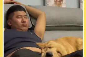 狗狗养久了，真的会和主人越来越像~ #狗狗 #看一遍笑一遍  #萌宠  #狗随主人是有一定道理的  #谁能拒绝傻憨憨的小狗