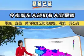 今夜鄂东大部仍有大到暴雨，恩施、宜昌、黄冈等地区防范崩塌、滑坡、泥石流#地质灾害 #夏至视频封面