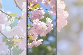 今日#立春 ，宜赏花🌸
春日的浪漫，是问“这是什么花”，是想“周末踏青怎么规划”。
唤醒#超级小爱 ，小小问题轻松拿下。视频封面