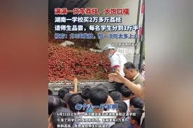 满满一货车荔枝，大饱口福！湖南一学校买2万多斤荔枝请师生们品尝，每名学生分到1斤半（原创采访）视频封面