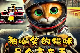 被嘲笑的猫咪是个赛车手 被嘲笑的猫咪最终通过努力，成了一名真正的赛车手......#猫咪的迷惑行为  #抖音创作季  #萌猫趣事  #猫咪动画 #抖音原创动画视频封面