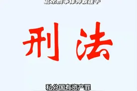 私分国有资产罪视频封面