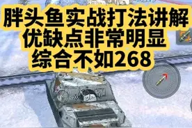 【毛毛WOTB】胖头鱼实战打法讲解优缺点非常明显综合不如268视频封面