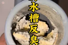 厨房水槽在放毒，味道真是一言难尽，开启除臭之旅刻不容缓视频封面