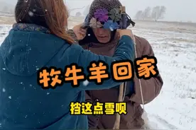 牧牛羊回家 #三农 #记录牧民真实生活 #新农人计划2024 
常芝姐牧民女婿海山带你看牧区真实生活 蒙汉爱情故事   草原上的风土人情视频封面