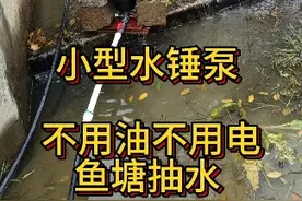 简单安装一台小型水锤泵，免费为鱼塘补水，赞~！ #止上水锤泵 #水锤泵 #水锤泵教程 #水锤泵原理