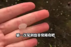 海南又下冰雹了，当地居民：我从小到大都没见过#海南 #冰雹视频封面