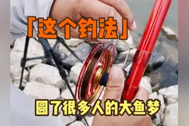这个钓法圆了很多人的大鱼梦，装备简单，一学就会视频封面