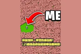 我的世界肝帝爆肝一千只犰狳岛屿？全自动合成台和狼甲真好用！