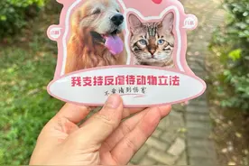 小熊和福宝事件后续视频封面