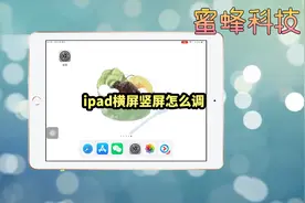 ipad横屏竖屏怎么调#手机 #科普一下 #每天跟我涨知识视频封面