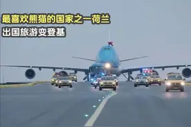 最喜欢熊猫的国家荷兰，本以为是熊猫出国旅游，没想到是去登基的视频封面