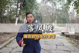 #庞统 被伏#落凤坡 ，真正的落凤坡在哪儿？——白马关落凤坡视频封面