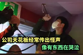 公司天花板经常传出怪声，像有东西在哭泣#奇闻奇事 #猫视频封面