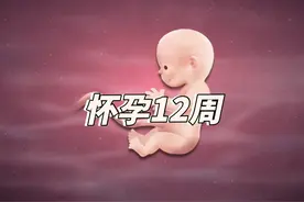 孕12周，是男宝宝还是女宝宝呢？视频封面