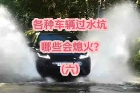 各种车辆过水坑表现，猜猜哪些会熄火？  #减速带 #涉水越野
