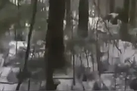 网传俄乌前线士兵临时停火，合唱二战著名歌曲《喀秋莎》视频封面