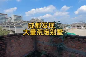 成都发现大量荒废别墅群，无人管理杂草丛生，送你一栋敢住吗？视频封面