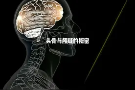 大脑的天然盔甲，头骨与颅缝的机制揭秘 #头骨结构 #科普一下视频封面