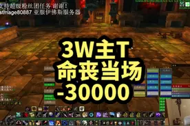 硬核魔兽开荒BWL小红龙 3W主T 命丧当场 #硬核魔兽开荒 #魔兽世界视频封面