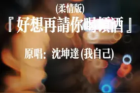 微醺中，我看到了你眼中的星辰，那是我无法挽留的温柔。 #好想再请你喝顿酒 #好想再请你喝顿酒柔情版 #车里唱歌视频封面