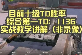 【毛毛WOTB】目前十级TD胜率综合第一TD：113G实战教学讲解