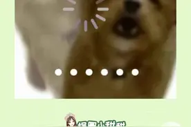 救救客服吧，她真的看起来快碎掉了！ #客服 #奇葩客户 #客服搞笑对话 #聊天 #奇葩视频封面