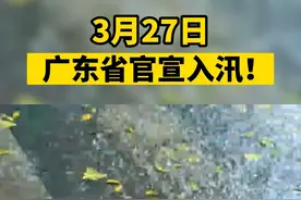 3月27日广东省官宣入汛！#本地新闻  #汛期视频封面
