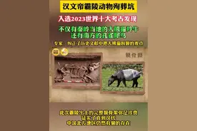 汉文帝霸陵动物殉葬坑入选2023世界十大考古发现，不仅有#秦岭 当地的大熊猫羚牛，还有南方的孔雀犀牛，专家：纠正了历史文献中大熊猫叫貘的观点#陕西dou知道 @中国考古