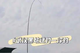 武汉黑坑试钓，浮钓青鱼鲢鳙 #浮钓鲢鳙 #爱生活爱钓鱼视频封面