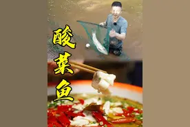 老师傅鱼塘捞4斤大草鱼做一盆四川酸菜鱼，鲜嫩酸辣吃完汤都不剩视频封面