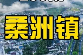 千花万花不如一枝探花 村名故事255：桑洲镇 #乡土宁海视频封面