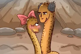 雌雄都能变换，果然是“鳝”变的#黄鳝#轻漫计划#万物皆可达#充能计划#创造力计划#乡村守护人2023