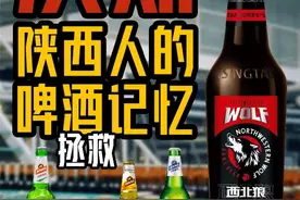 曾经濒临破产的汉斯啤酒，如何成为了陕西记忆标签｜陕西品牌故事视频封面