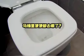 拉出来的便便都去哪里了？城市化粪池工作原理，看完就明白了视频封面
