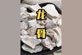 龙年说龙骨 #龙骨 #龙年 #胡博士说中医