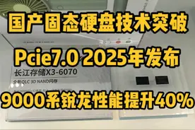 国产固态硬盘技术突破！9000锐龙性能提升40%！ #电脑 #固态硬盘
