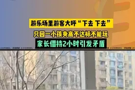 孩子身高不够不能玩游乐场项目，你会怎么做？#安全问题 #游乐园