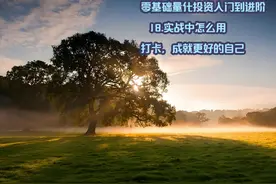 零基础量化投资入门到进阶 18.实战中怎么用 02.第二章视频封面