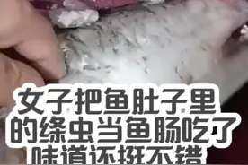 女子把鱼肚子里的绦虫当鱼肠吃了 #科普 #搞笑视频 #网友 #食物视频封面