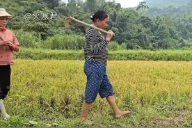 偷懒60年婆婆一夜之间突然变勤快，抢着做农活，不小心暴露真相