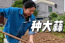 妈妈是种蒜高手，每年种的蒜粗壮有产量，方法简单又独特，学到了视频封面