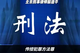 我国刑法第二百九十五条【传授犯罪方法罪】视频封面
