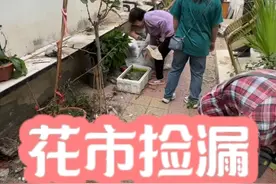北京又要关一家花卉市场，赶紧去捡漏 #花卉市场 #众兴花卉市场 #一花一草一世界 #实体花店 #养花人视频封面