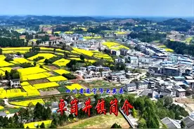 四川省遂宁市大英县《卓筒井镇》简介 大英县卓筒井镇简介。视频封面